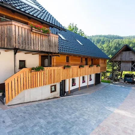 Apartmaji Mm * ボーヒニ