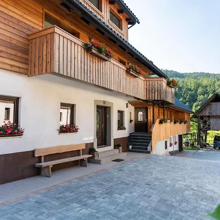 Apartmaji Mm Апартаменты Бохинь